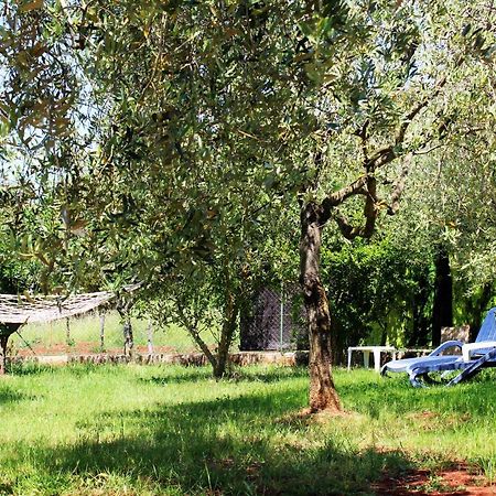 Oliven Garden Villa Rovinj Eksteriør bilde