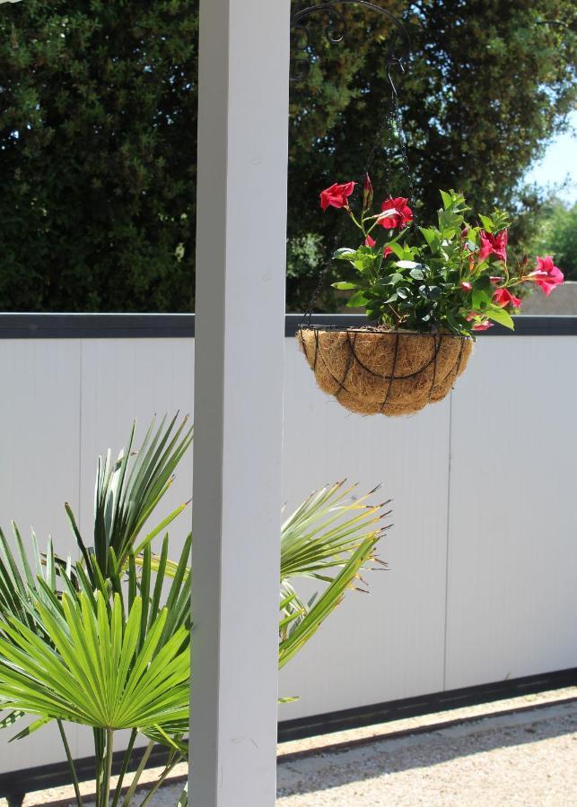 Oliven Garden Villa Rovinj Eksteriør bilde