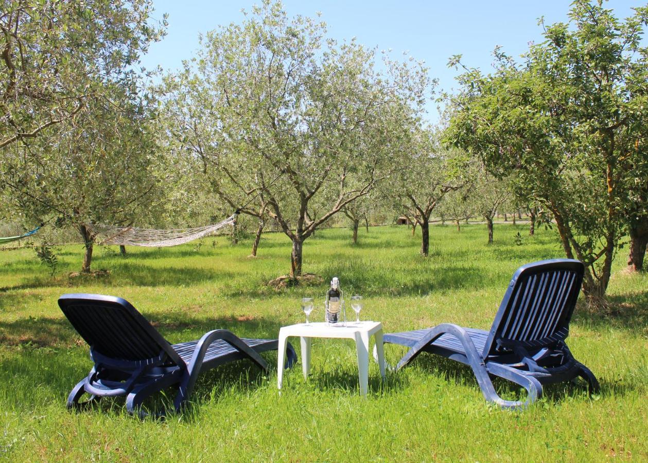 Oliven Garden Villa Rovinj Eksteriør bilde