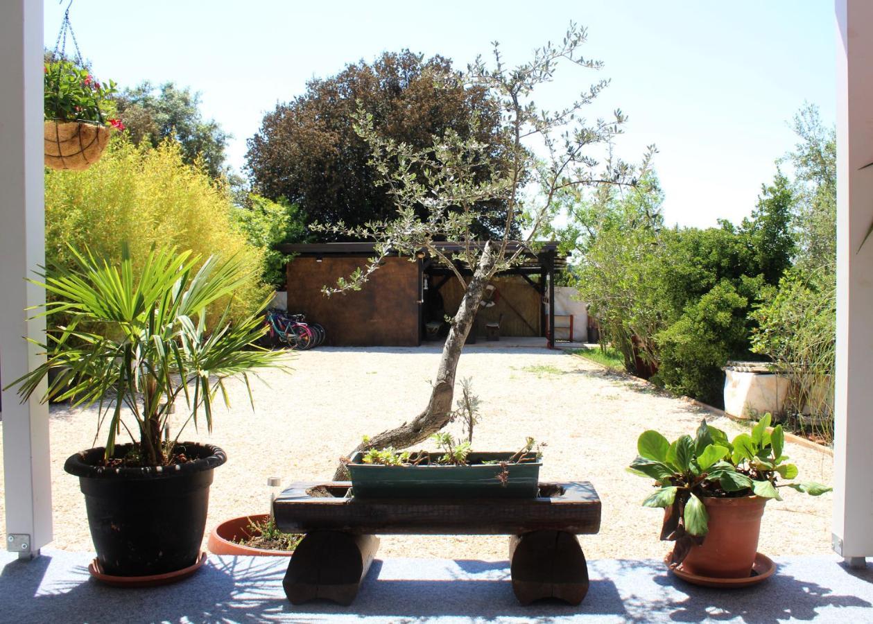 Oliven Garden Villa Rovinj Eksteriør bilde