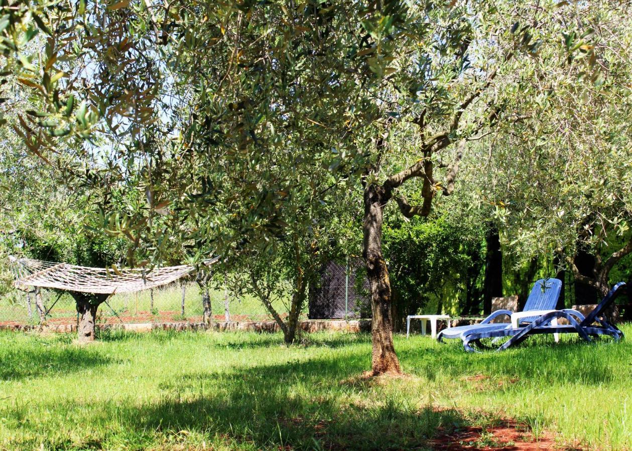 Oliven Garden Villa Rovinj Eksteriør bilde
