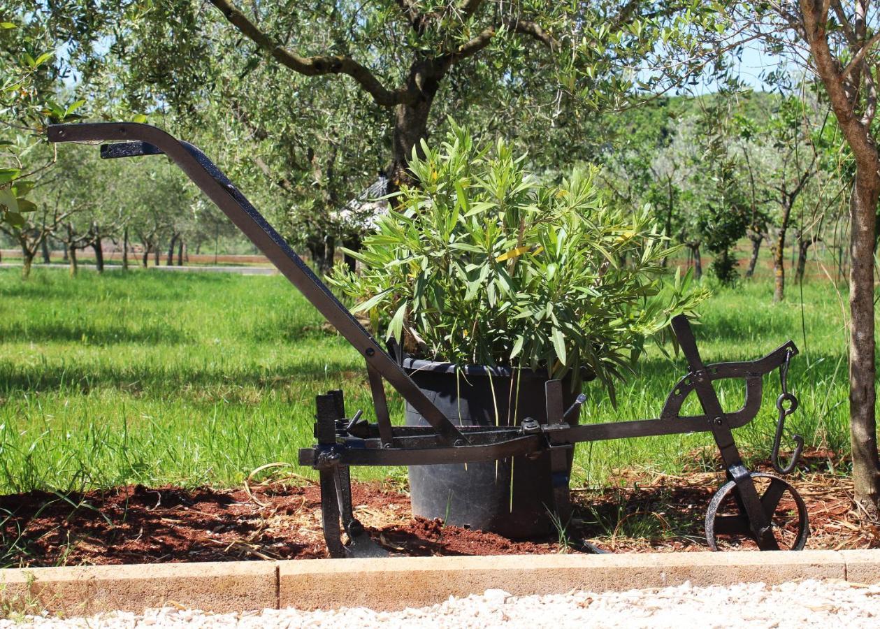 Oliven Garden Villa Rovinj Eksteriør bilde
